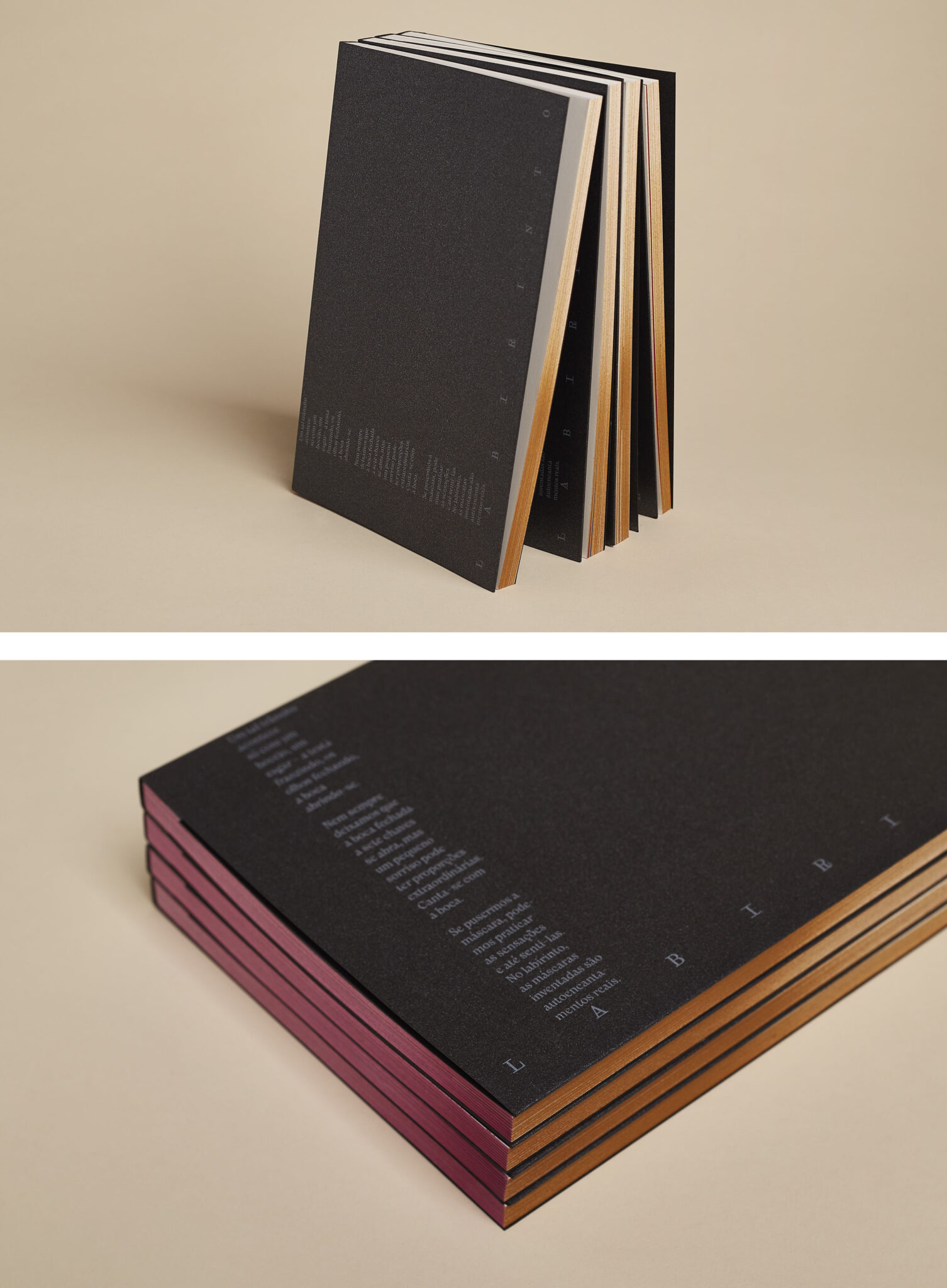 LIVRO LABIRINTO