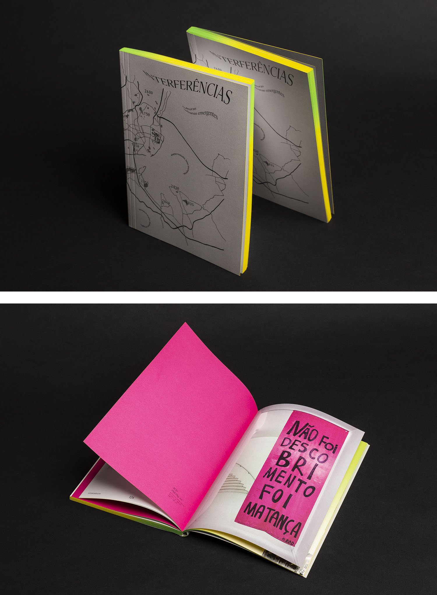 LIVRO INTERFERÊNCIAS